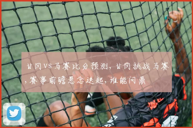 甘冈vs马赛比分预测,甘冈挑战马赛,赛事前瞻悬念迭起,谁能问鼎
